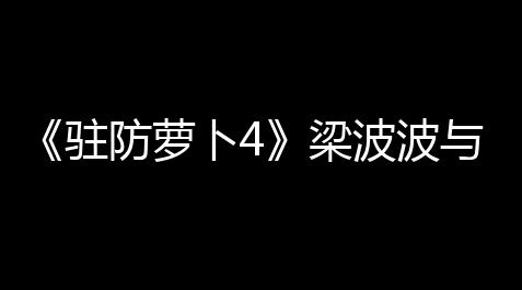 《驻防萝卜4》梁波波与祝秋秋第25关通关攻略_最强蜗牛挂图