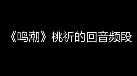 《鸣潮》桃祈的回音频段效果一览_暗区突围科技辅助购买