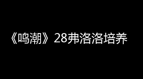 《鸣潮》28弗洛洛培养攻略一图流_免费修改器下载