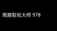 周易取名大师 978 官方版