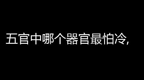 五官中哪个器官最怕冷,前列腺也会得“感冒这些器官最怕过冬_迷你世界晓北mini助手