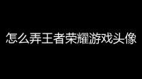 怎么弄王者荣耀游戏头像怎么单独设置 王者荣耀 里的头像
