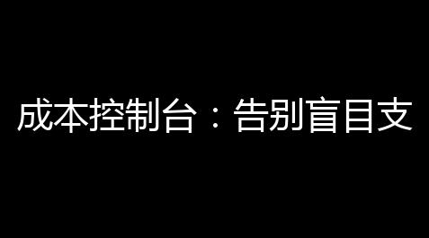 成本控制台
：告别盲目支出，掌控企业财务未来_超自然行动科技开挂辅助器ios