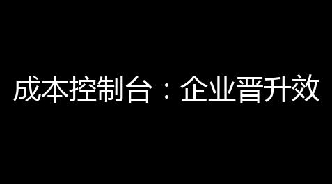 成本控制台：企业晋升效率，下滑风险的秘密武器_苹果11玩和平精英