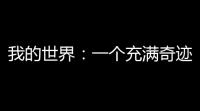我的世界：一个充满奇迹的童年	，以及无限可能