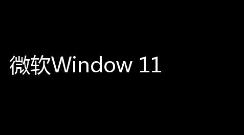 微软Window 11 LTSC 2024 Build 261006584_无畏契约自瞄怎么开启