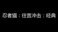 忍者猫 ：往昔冲击 ：经典动画重生为游戏 	，唤醒90年代情怀