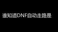 谁知道DNF自动走路是咋回事(dnf游戏出现鼠标怎么消除)