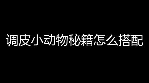 调皮小动物秘籍怎么搭配 最强武功搭配新手攻略_深空之眼修改器