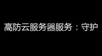 高防云服务器服务
 ：守护你的业务，稳健增长