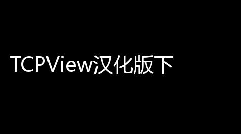 TCPView汉化版下载 305 绿色汉化版_高能英雄科技软件